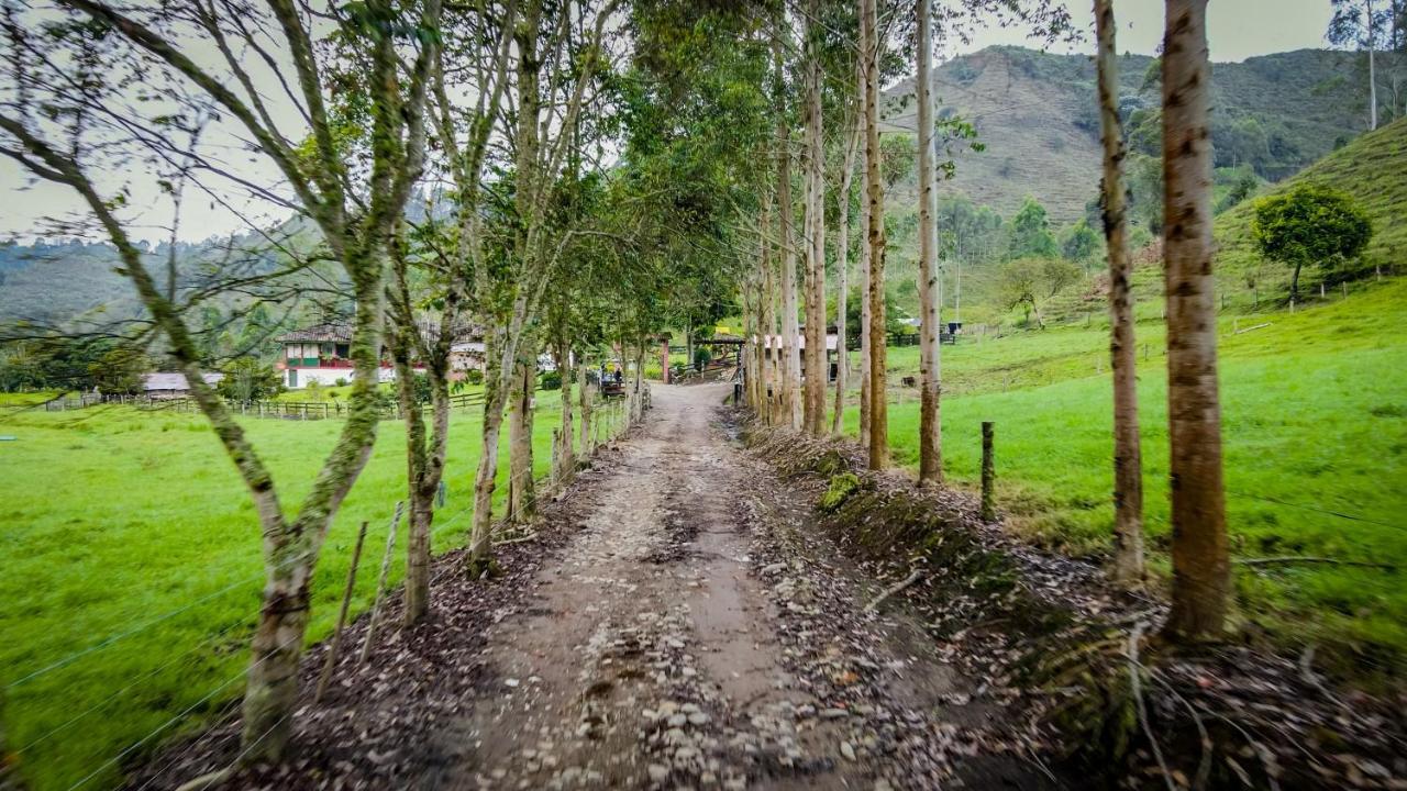 Finca La Playa Ecohotel - Experiencia Campestre - Саленто Екстериор снимка