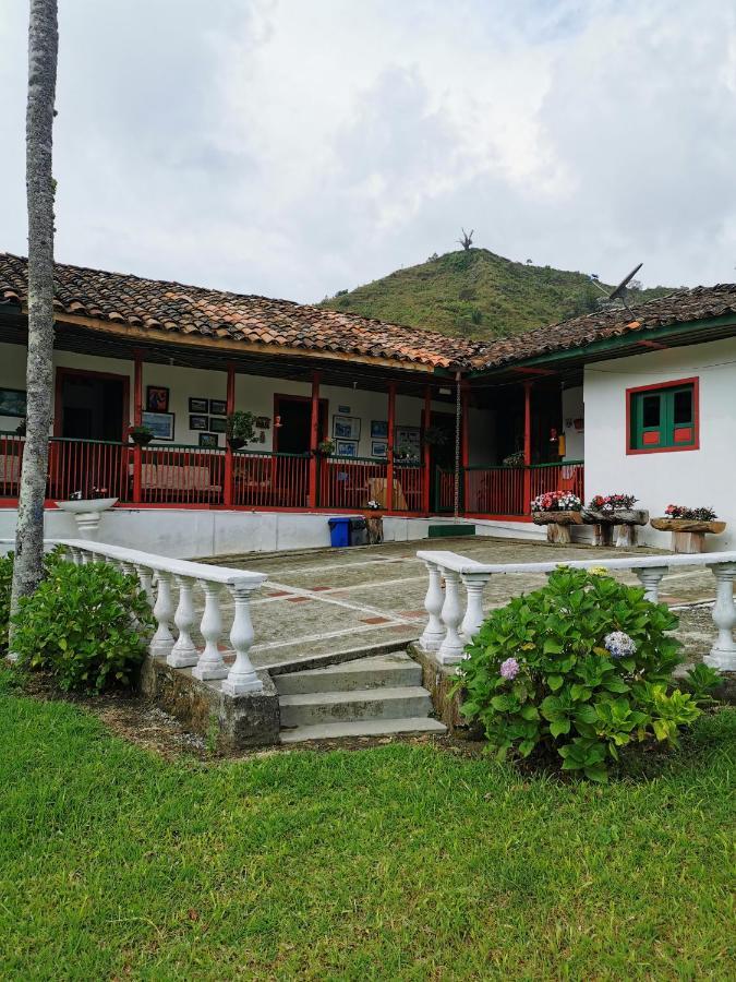 Finca La Playa Ecohotel - Experiencia Campestre - Саленто Екстериор снимка